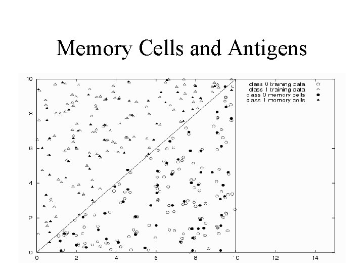 Memory Cells and Antigens 