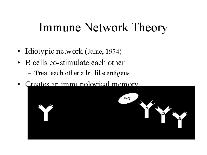 Immune Network Theory • Idiotypic network (Jerne, 1974) • B cells co-stimulate each other
