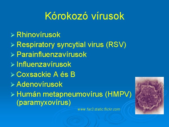 Kórokozó vírusok Ø Rhinovírusok Ø Respiratory syncytial virus (RSV) Ø Parainfluenzavírusok Ø Influenzavírusok Ø