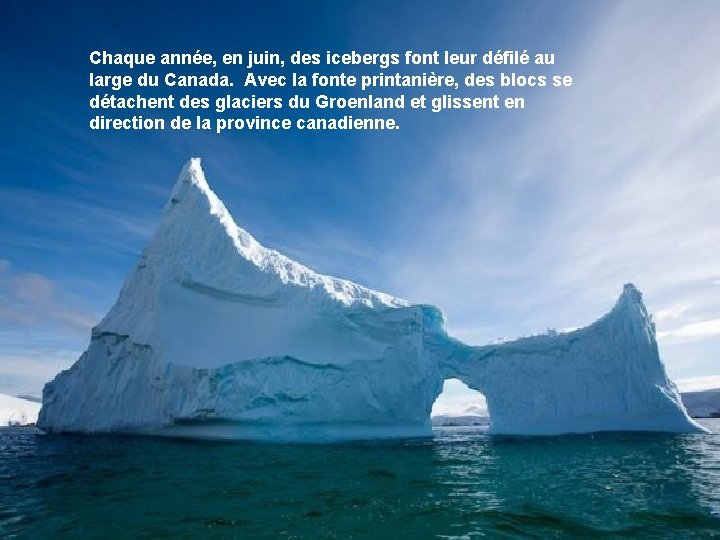 Chaque année, en juin, des icebergs font leur défilé au large du Canada. Avec