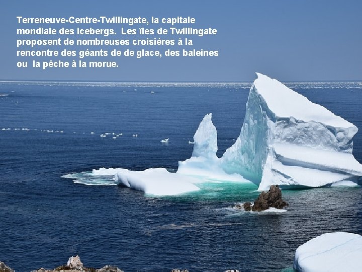 Terreneuve-Centre-Twillingate, la capitale mondiale des icebergs. Les îles de Twillingate proposent de nombreuses croisières