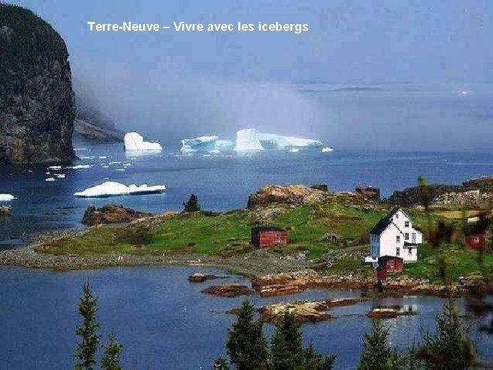 Terre-Neuve – Vivre avec les icebergs 