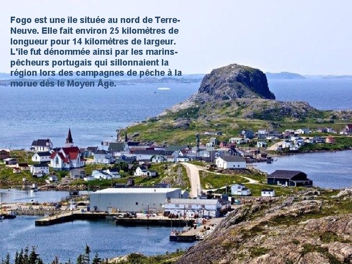 Fogo est une île située au nord de Terre. Neuve. Elle fait environ 25