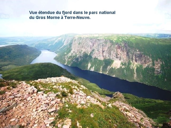 Vue étendue du fjord dans le parc national du Gros Morne à Terre-Neuve. 