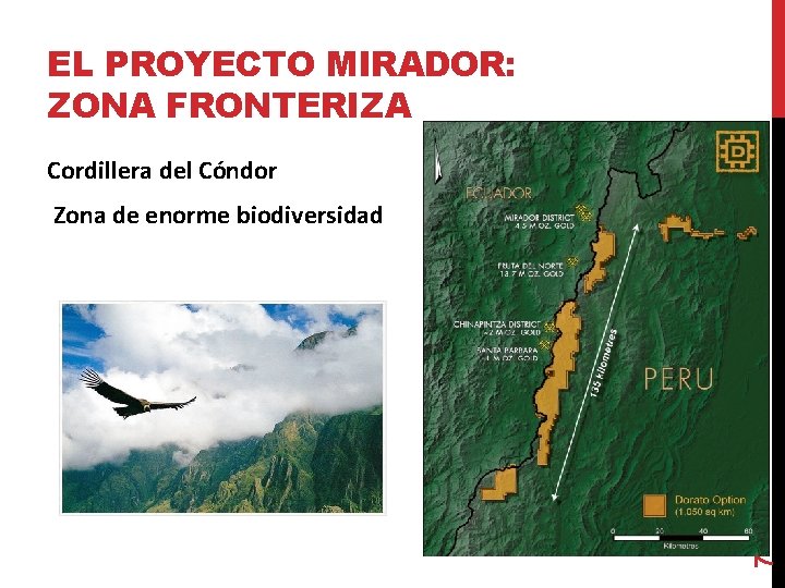 EL PROYECTO MIRADOR: ZONA FRONTERIZA Cordillera del Cóndor 7 Zona de enorme biodiversidad 