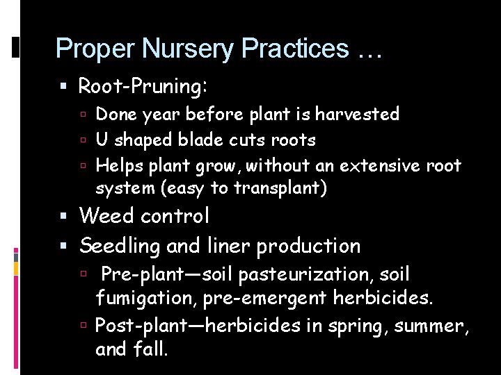 Proper Nursery Practices … Root-Pruning: Done year before plant is harvested U shaped blade