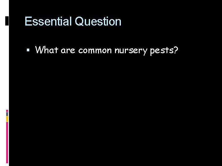 Essential Question What are common nursery pests? 