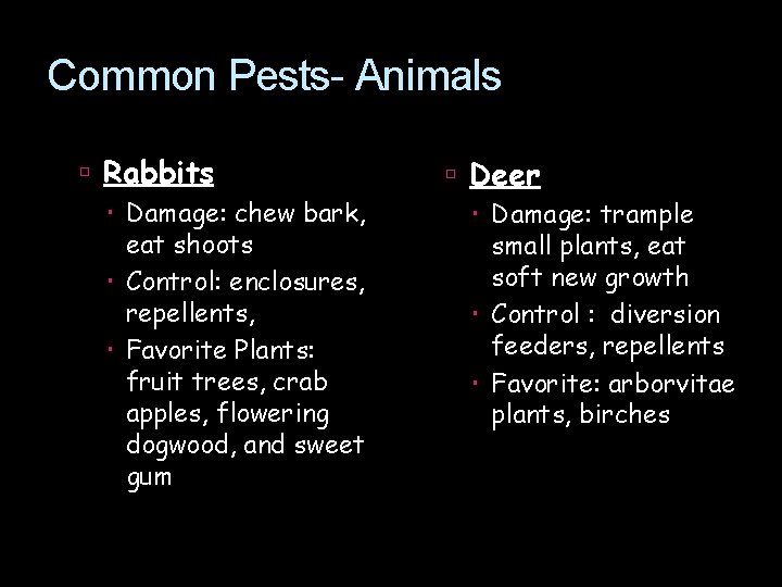 Common Pests- Animals Rabbits Damage: chew bark, eat shoots Control: enclosures, repellents, Favorite Plants: