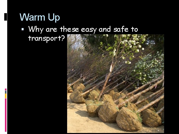 Warm Up Why are these easy and safe to transport? 