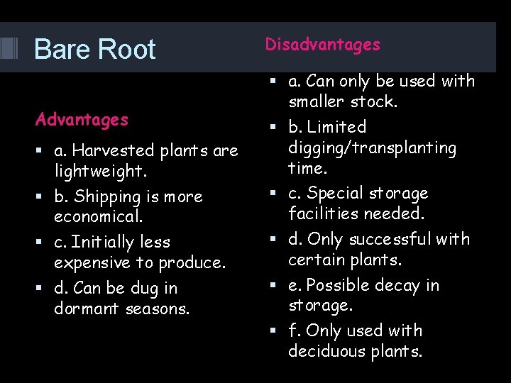 Bare Root Advantages a. Harvested plants are lightweight. b. Shipping is more economical. c.