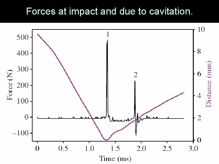 Forces at impact and due to cavitation. 