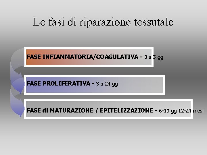 Le fasi di riparazione tessutale FASE INFIAMMATORIA/COAGULATIVA - 0 a 3 gg FASE PROLIFERATIVA Le fasi di riparazione tessutale FASE INFIAMMATORIA/COAGULATIVA - 0 a 3 gg FASE PROLIFERATIVA
