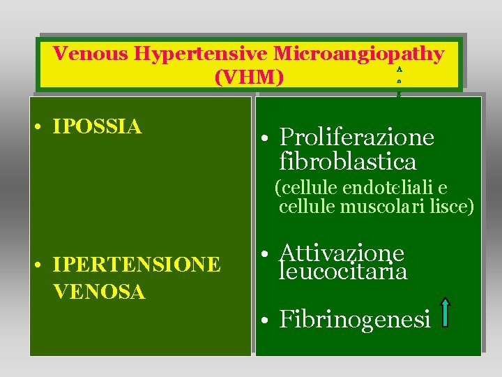 Venous Hypertensive Microangiopathy A n (VHM) • IPOSSIA g i o C T 2 Venous Hypertensive Microangiopathy A n (VHM) • IPOSSIA g i o C T 2