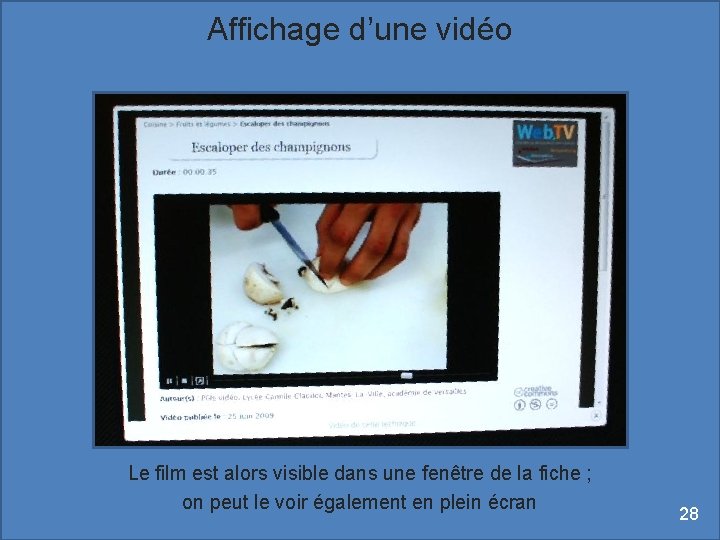 Affichage d’une vidéo Le film est alors visible dans une fenêtre de la fiche