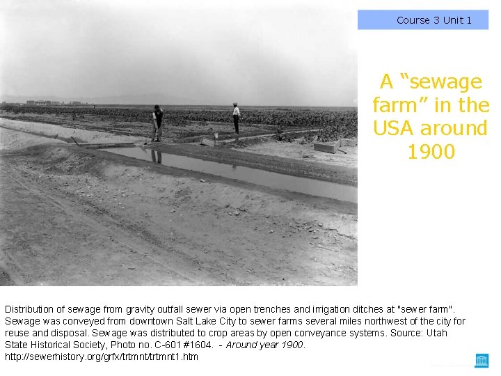 Course 3 Unit 1 A “sewage farm” in the USA around 1900 Distribution of