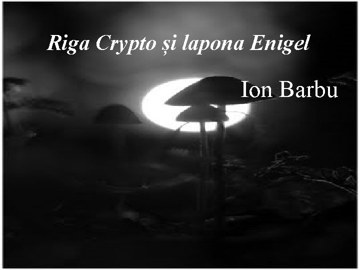 Riga Crypto și lapona Enigel Ion Barbu 