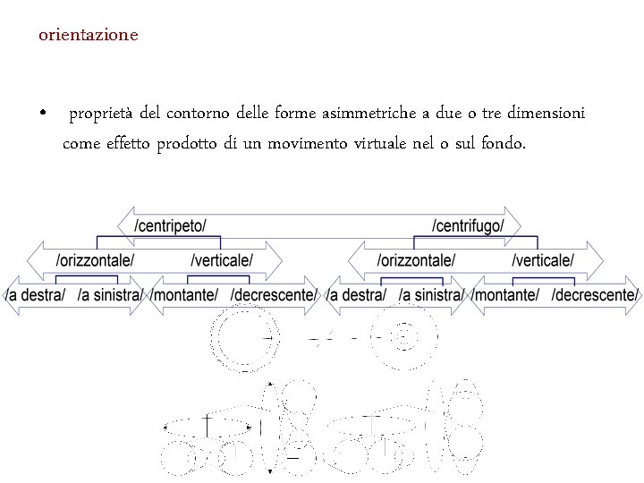 orientazione • proprietà del contorno delle forme asimmetriche a due o tre dimensioni come