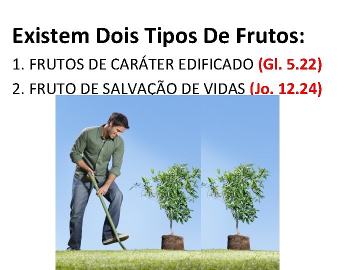 Existem Dois Tipos De Frutos: 1. FRUTOS DE CARÁTER EDIFICADO (Gl. 5. 22) 2.