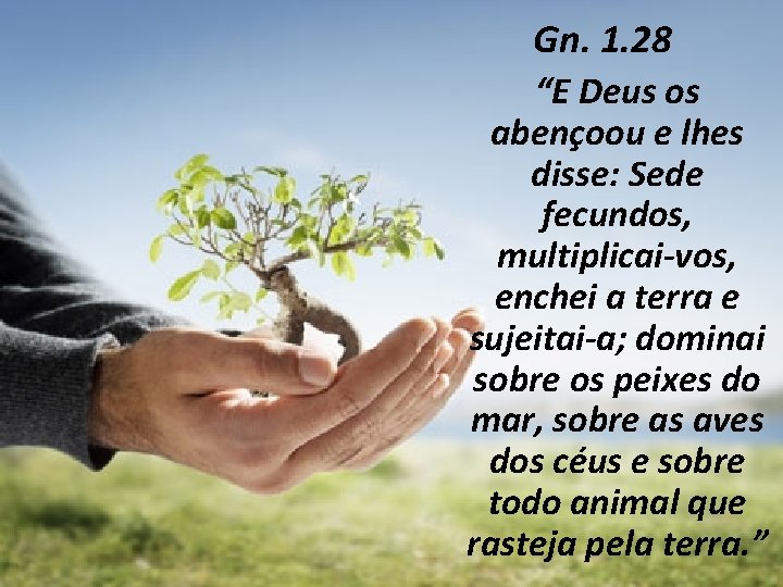 Gn. 1. 28 “E Deus os abençoou e lhes disse: Sede fecundos, multiplicai-vos, enchei