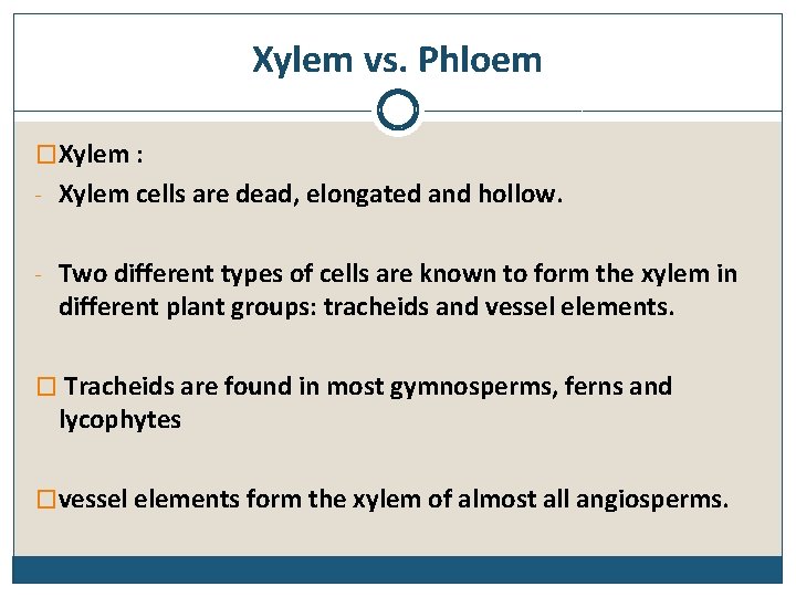 Xylem vs. Phloem �Xylem : - Xylem cells are dead, elongated and hollow. -