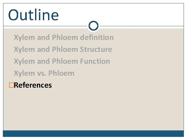 Outline Xylem and Phloem definition Xylem and Phloem Structure Xylem and Phloem Function Xylem
