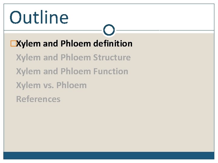 Outline �Xylem and Phloem definition Xylem and Phloem Structure Xylem and Phloem Function Xylem