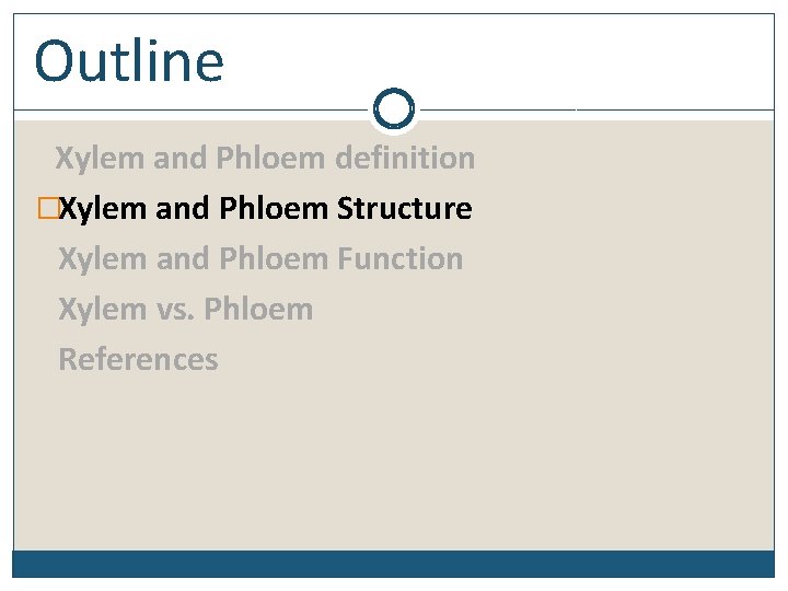 Outline Xylem and Phloem definition �Xylem and Phloem Structure Xylem and Phloem Function Xylem