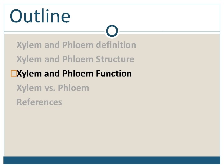 Outline Xylem and Phloem definition Xylem and Phloem Structure �Xylem and Phloem Function Xylem