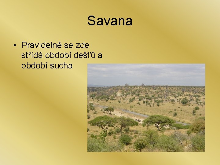 Savana • Pravidelně se zde střídá období dešťů a období sucha 