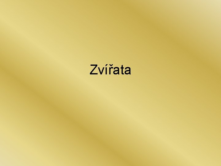 Zvířata 