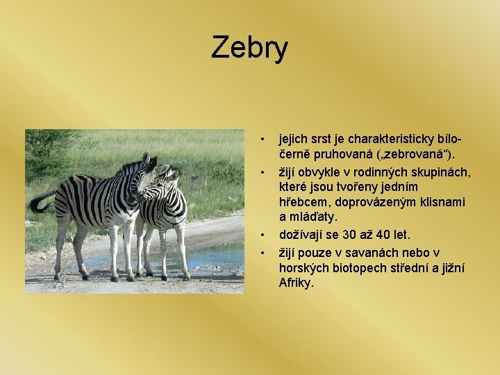 Zebry • • jejich srst je charakteristicky bíločerně pruhovaná („zebrovaná“). žijí obvykle v rodinných