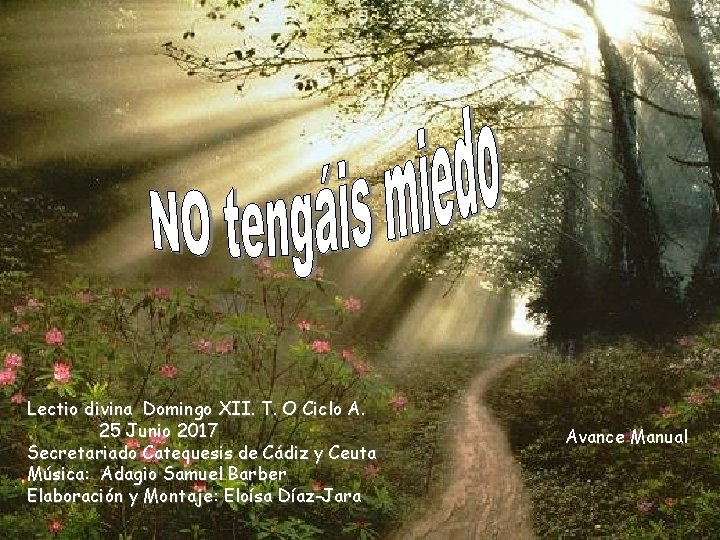 Lectio divina Domingo XII. T. O Ciclo A. 25 Junio 2017 Secretariado Catequesis de