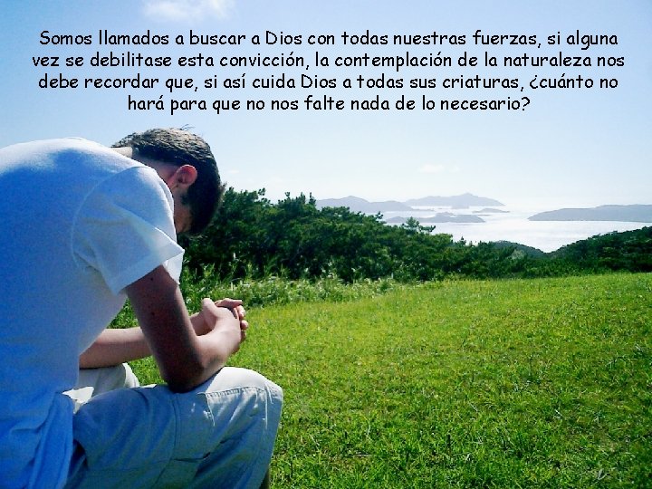 Somos llamados a buscar a Dios con todas nuestras fuerzas, si alguna vez se