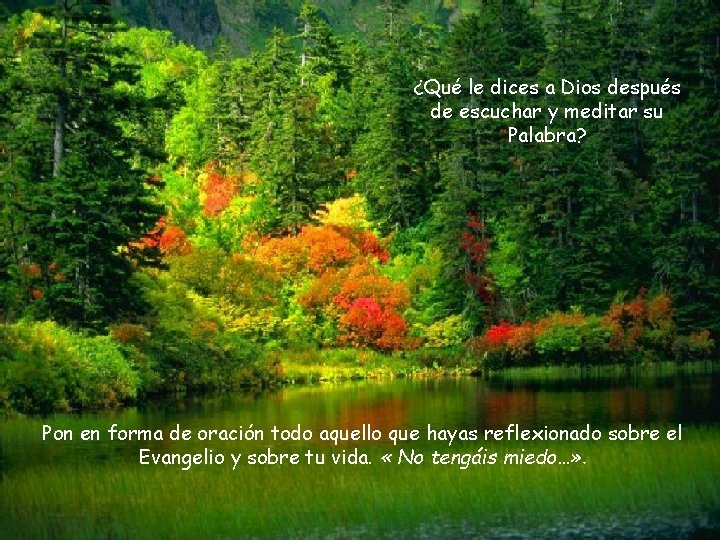 ¿Qué le dices a Dios después de escuchar y meditar su Palabra? Pon en