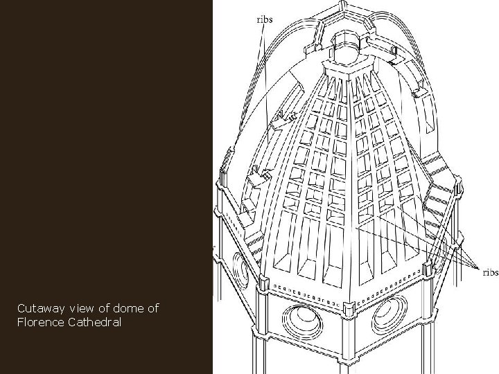 Cutaway view of dome of Florence Cathedral 