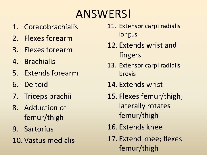 ANSWERS! 1. 2. 3. 4. 5. 6. 7. 8. Coracobrachialis Flexes forearm Brachialis Extends