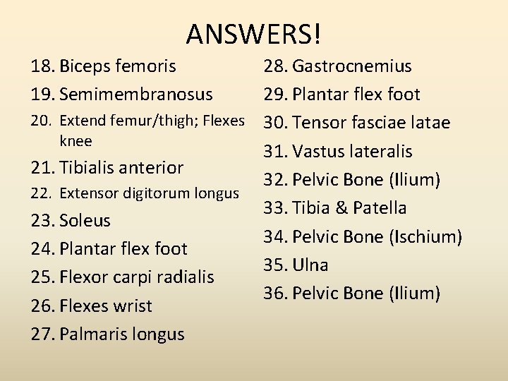 ANSWERS! 18. Biceps femoris 19. Semimembranosus 28. Gastrocnemius 29. Plantar flex foot 20. Extend