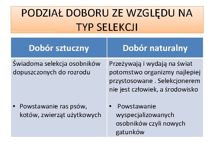 PODZIAŁ DOBORU ZE WZGLĘDU NA TYP SELEKCJI Dobór sztuczny Dobór naturalny Świadoma selekcja osobników