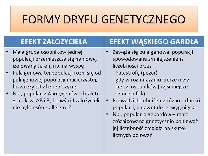 FORMY DRYFU GENETYCZNEGO EFEKT ZAŁOŻYCIELA EFEKT WĄSKIEGO GARDŁA • Mała grupa osobników jednej •