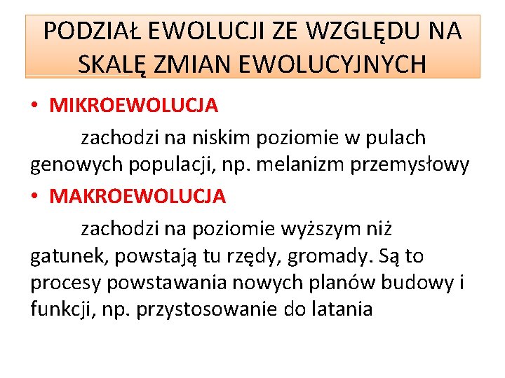 PODZIAŁ EWOLUCJI ZE WZGLĘDU NA SKALĘ ZMIAN EWOLUCYJNYCH • MIKROEWOLUCJA zachodzi na niskim poziomie