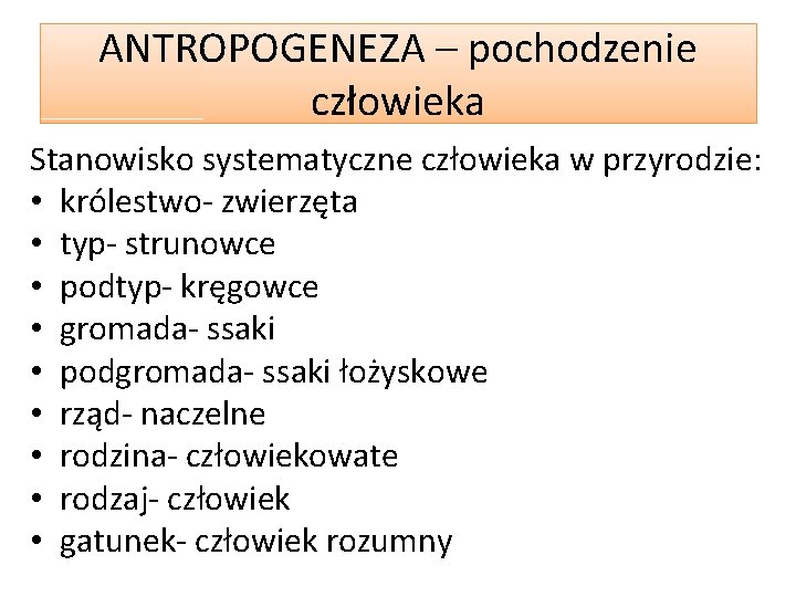 ANTROPOGENEZA – pochodzenie człowieka Stanowisko systematyczne człowieka w przyrodzie: • królestwo- zwierzęta • typ-