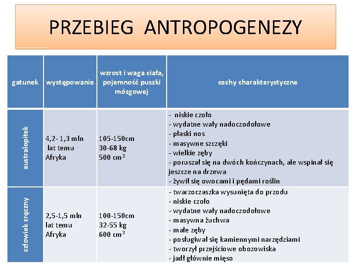 PRZEBIEG ANTROPOGENEZY australopitek 4, 2 - 1, 3 mln lat temu Afryka 105 -150