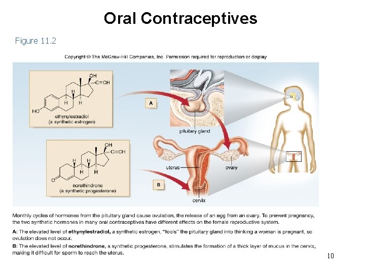 Oral Contraceptives Figure 11. 2 10 