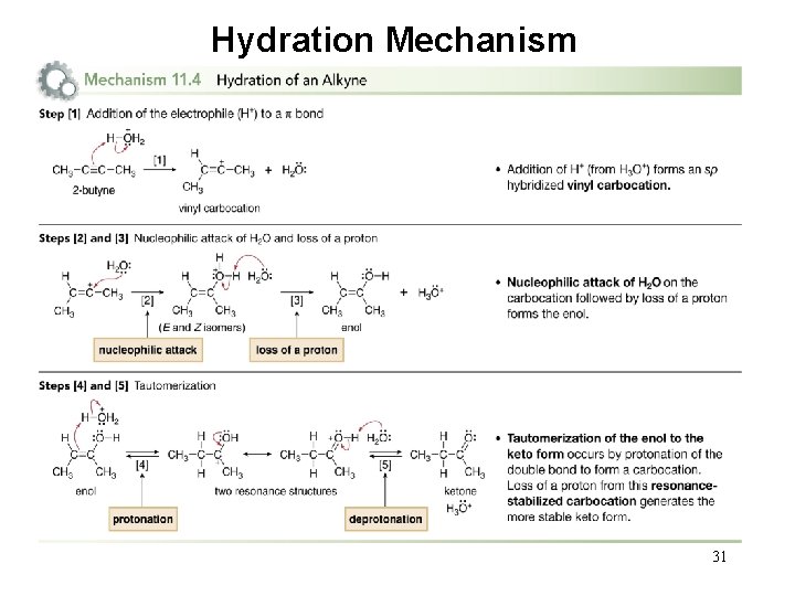 Hydration Mechanism 31 