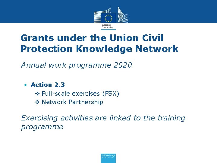 Grants under the Union Civil Protection Knowledge Network • Annual work programme 2020 •