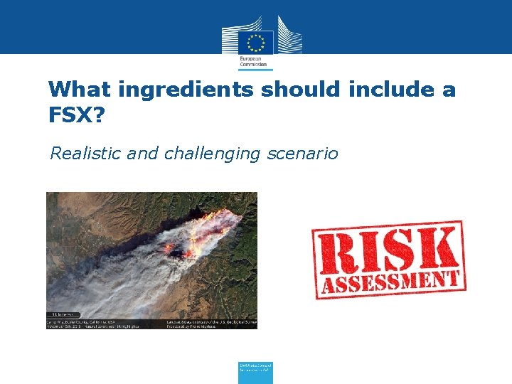 What ingredients should include a FSX? • Realistic and challenging scenario 