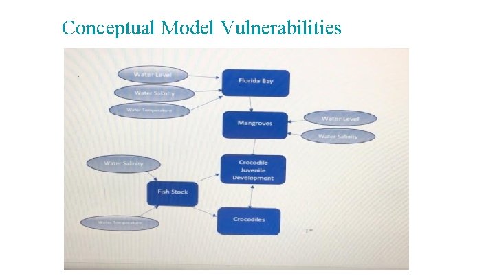 Conceptual Model Vulnerabilities 