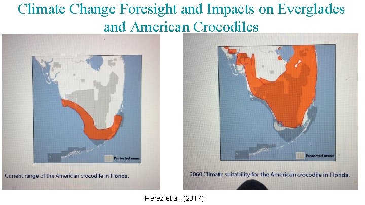 Climate Change Foresight and Impacts on Everglades and American Crocodiles Perez et al. (2017)