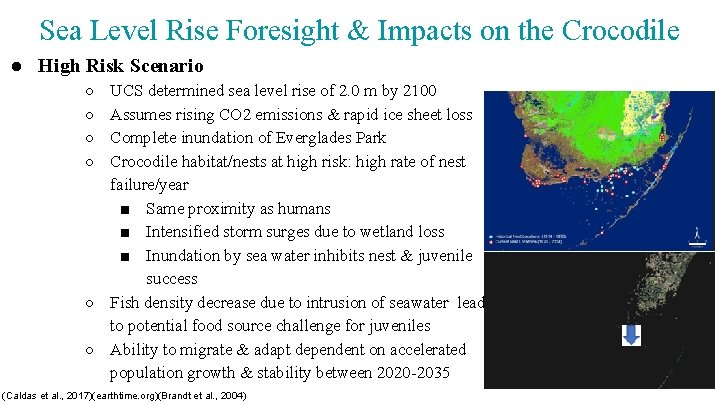 Sea Level Rise Foresight & Impacts on the Crocodile ● High Risk Scenario ○