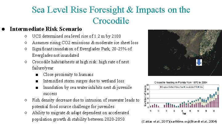 Sea Level Rise Foresight & Impacts on the Crocodile ● Intermediate Risk Scenario ○